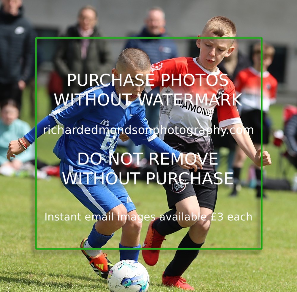 IMG_5741 - Workington Diamonds