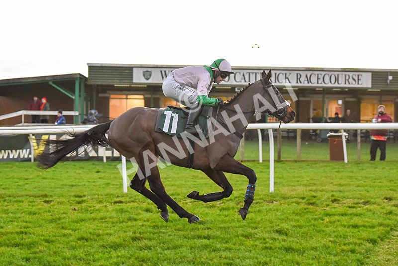 191223-Race 7-Wilful-9610 - Race 7