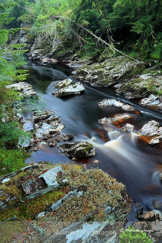 River Findhorn Randolphs Leap - At the waters edge gallery