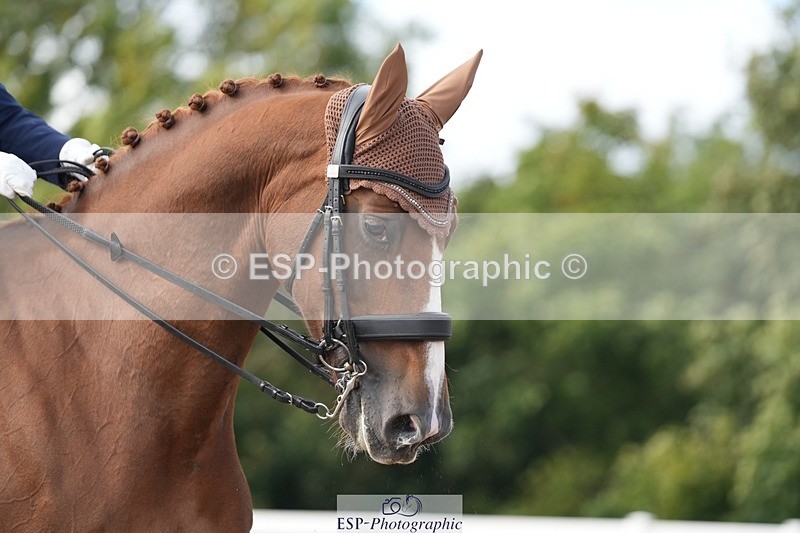 250907-160913-09775 - 126-Clair.ReedCatherston.Specific