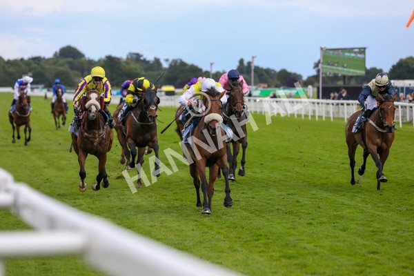 140624-Race 5-Invisible Friend-5752 - Race 6 4.45pm Irish Thoroughbred Marketing Handicap