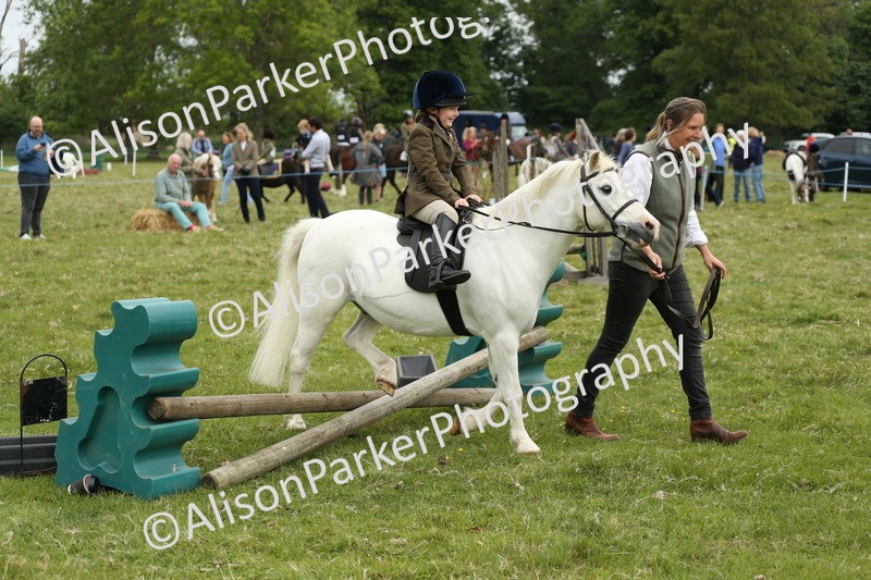 20250517-0553 - Class 20 - Beginners Working Hunter