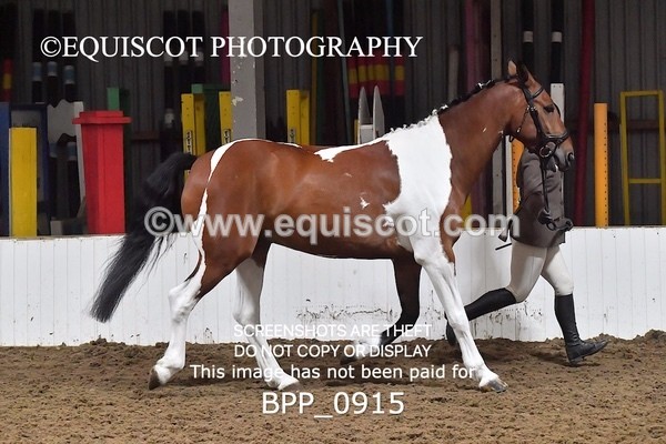 BPP_0915 - RING 2