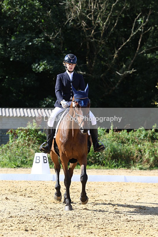 3E7A2548 - Class 1: Intro 4 2024 section A