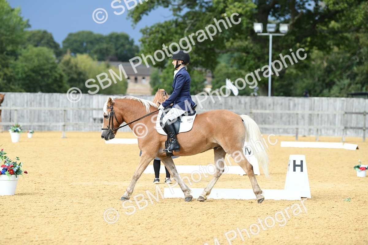 SBM_10897 - D28 Elementary Taster Elementary 42