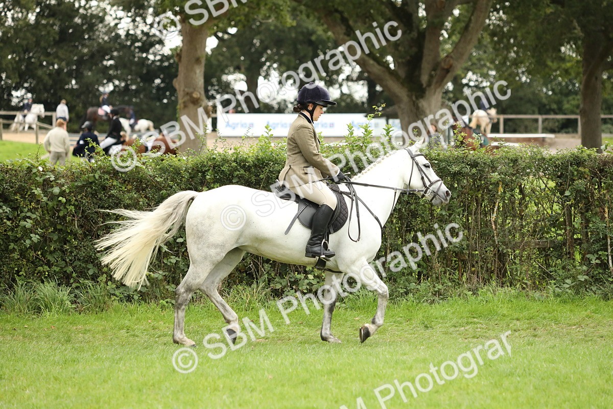 SBM_73673 - S41 - Ridden Equitation (Best Rider)