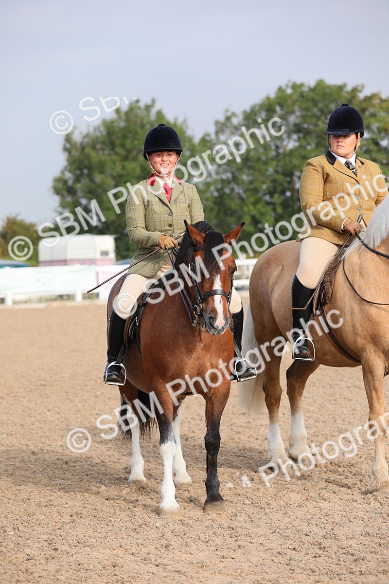 SBM_10145 - Class 302 Ridden M&M -Large Breeds