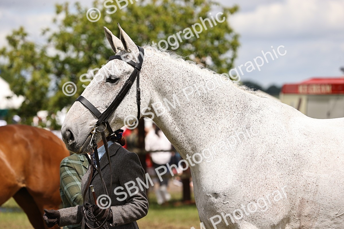 SBM_14720 - Class 88-89 - LIHS BSHA Rising Star of Ridden Hunter Type