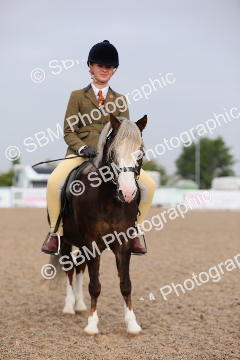 SBM_09665 - Class 301 Ridden M&M -Small Breeds