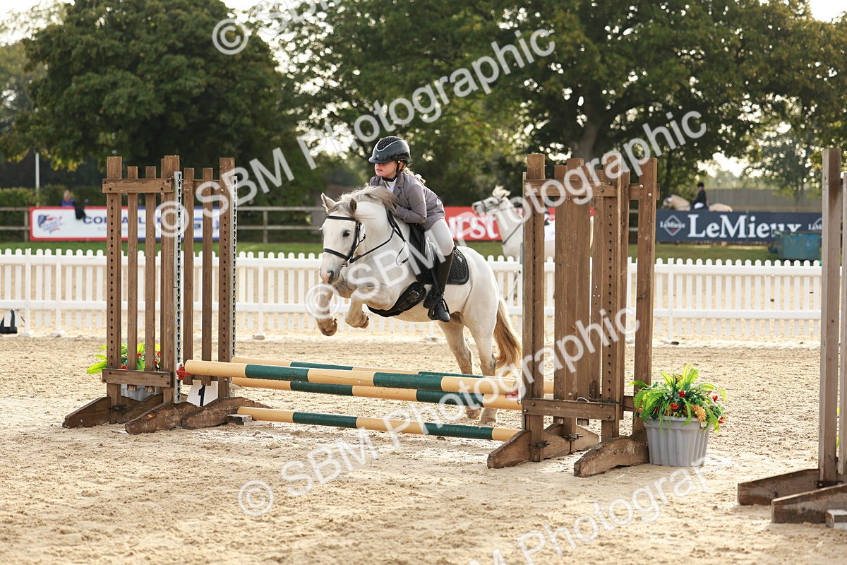SBM_55560 - J11 - Junior Pony 50cm Championship