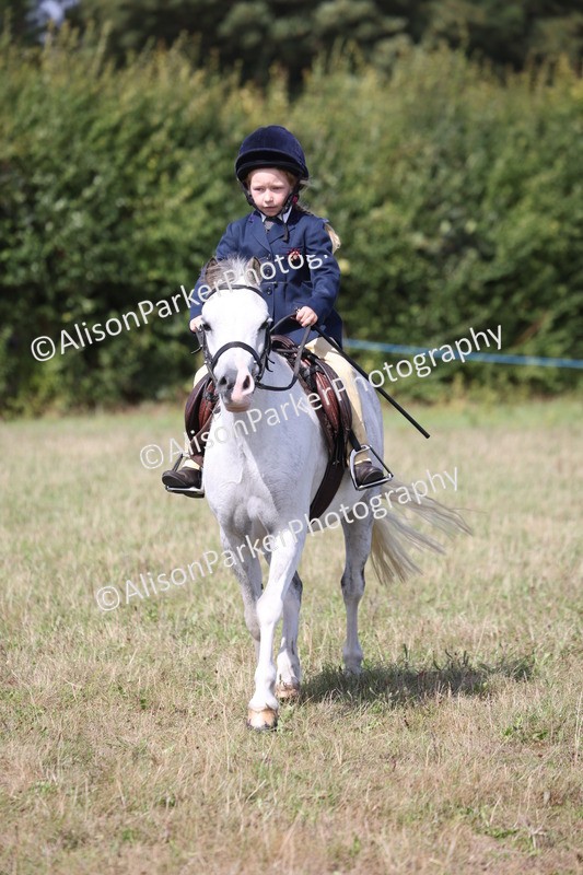 20260906-3024 - Class 18 - Childs First Pony