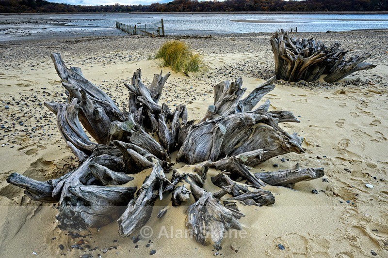 DSC09288 - Suffolk