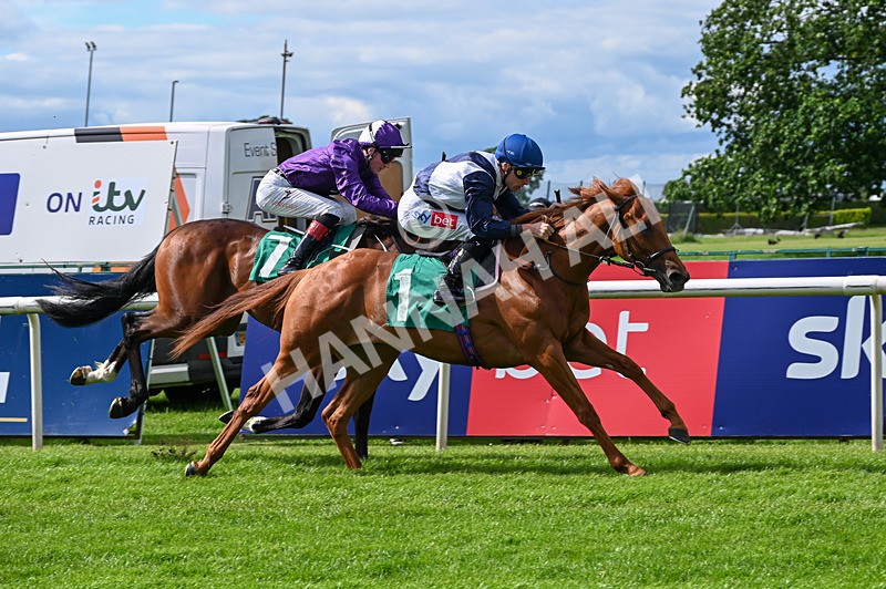 310526-Race 1-Alfred Wallace-7956 - Race 1 15.45pm Enter ITV7 For Free Novice Stakes