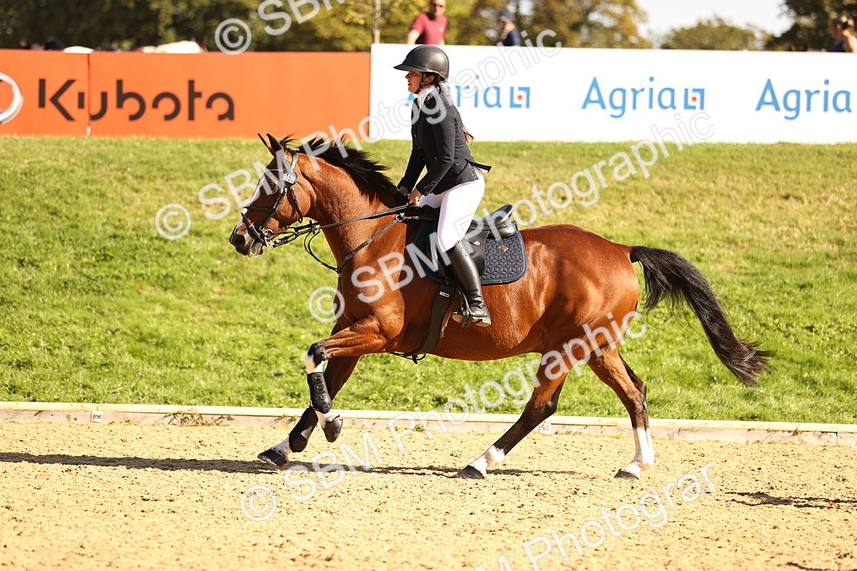 SBM_38252 - J39 - Senior 85cm Championship