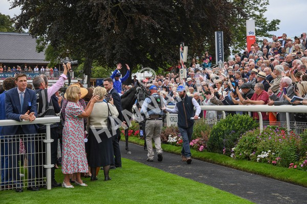 230823-Race 4-Mostahdaf-0344 - Race 4 3.35pm Juddmonte International Stakes