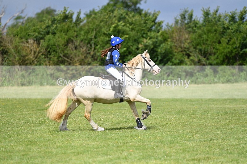 WJ5_2698 - Class 2 40cm