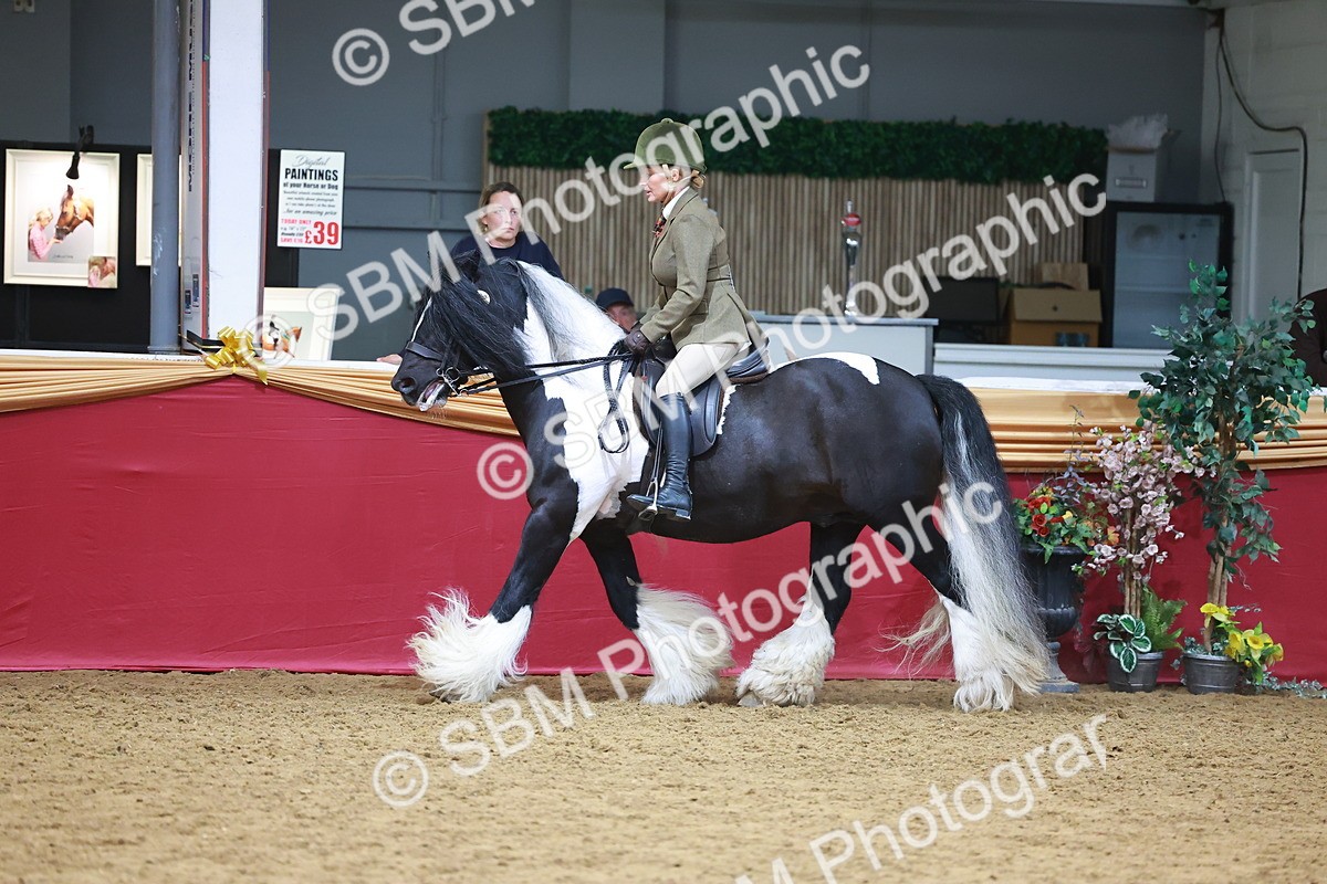 SBM_06267 - Class 12R - Ridden Pre-Vet