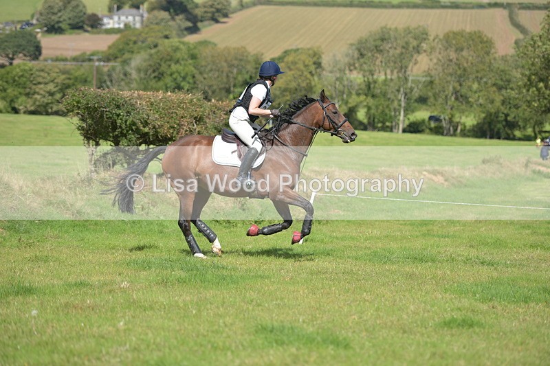 RAY_8581 - Class 2: Trekenning Open: Wall