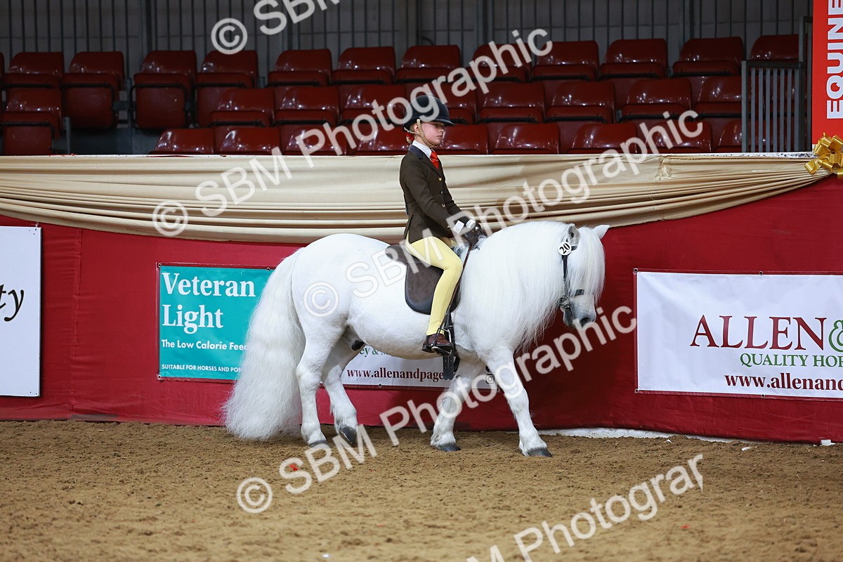 SBM_09356 - Class 102 - HOYS Veteran Qualifier - Ridden Veteran