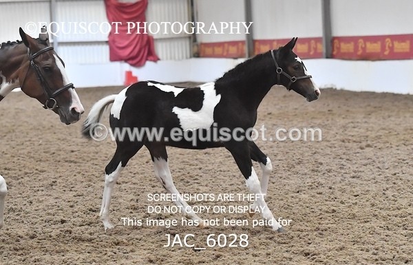 JAC_6028 - 16 Serendipity