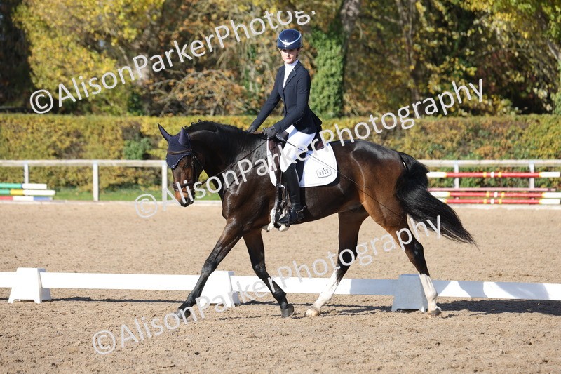 20251102-0733 - Class 4 - Novice 6