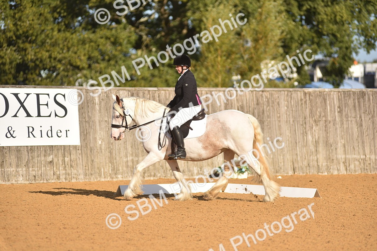 SBM_15735 - D4 - Small Tour Championship Intro 4