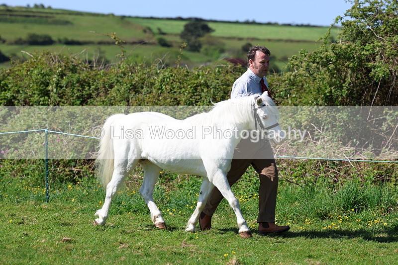 3E7A9384 - Class 16: Best Grass Kept