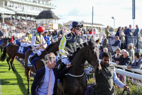 yr08102022r4-11 - Race 4 3.15pm The Coral Sprint Trophy