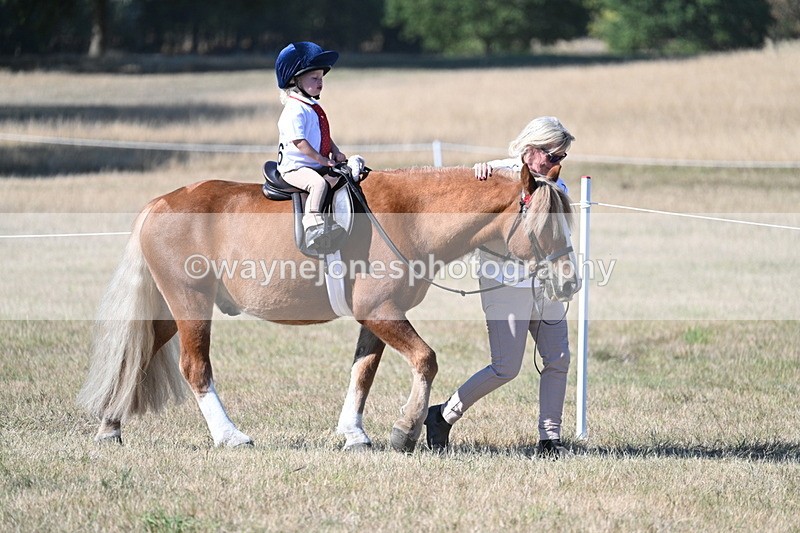 WJ7_2062 - Class 44 Child's Best Friend