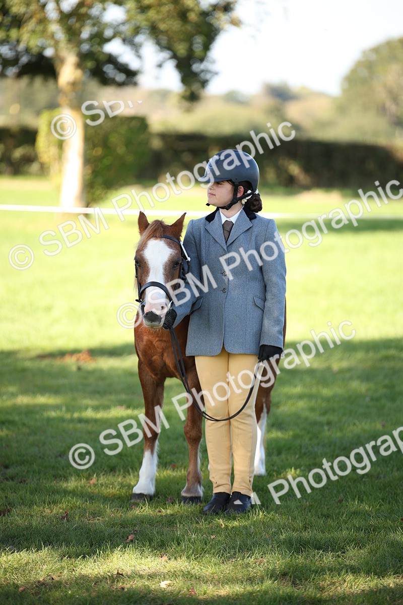SBM_36657 - S10 - Best In Hand Horse & Pony