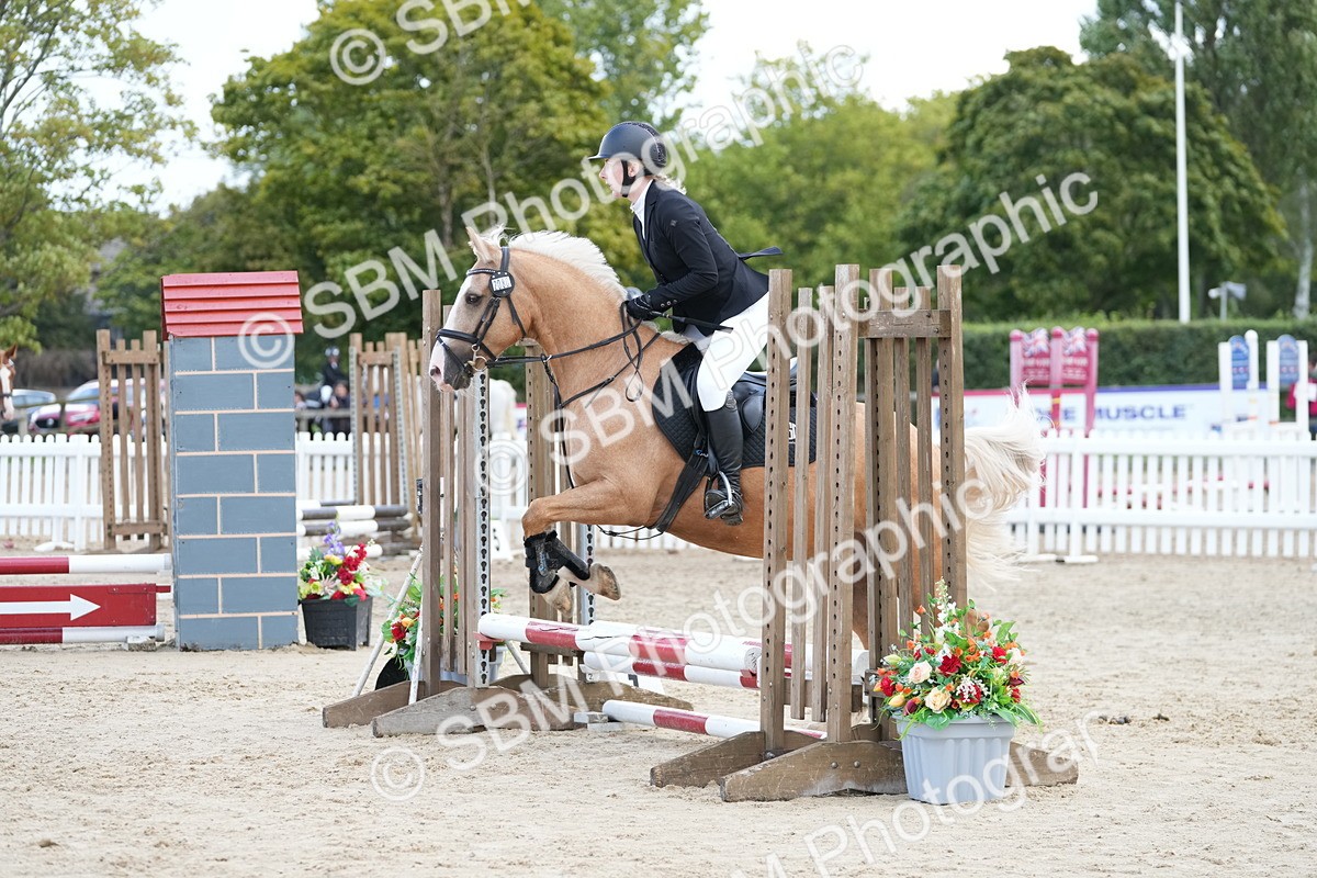 SBM_21074 - J49 - Open 50cm