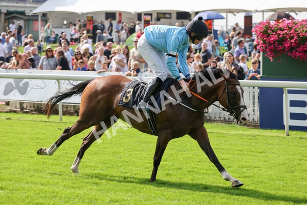yr05092021rP-54 - Pony Races 138 and 148 cm