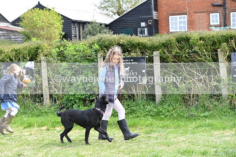 WJ5_0787 - Best in Show Championship