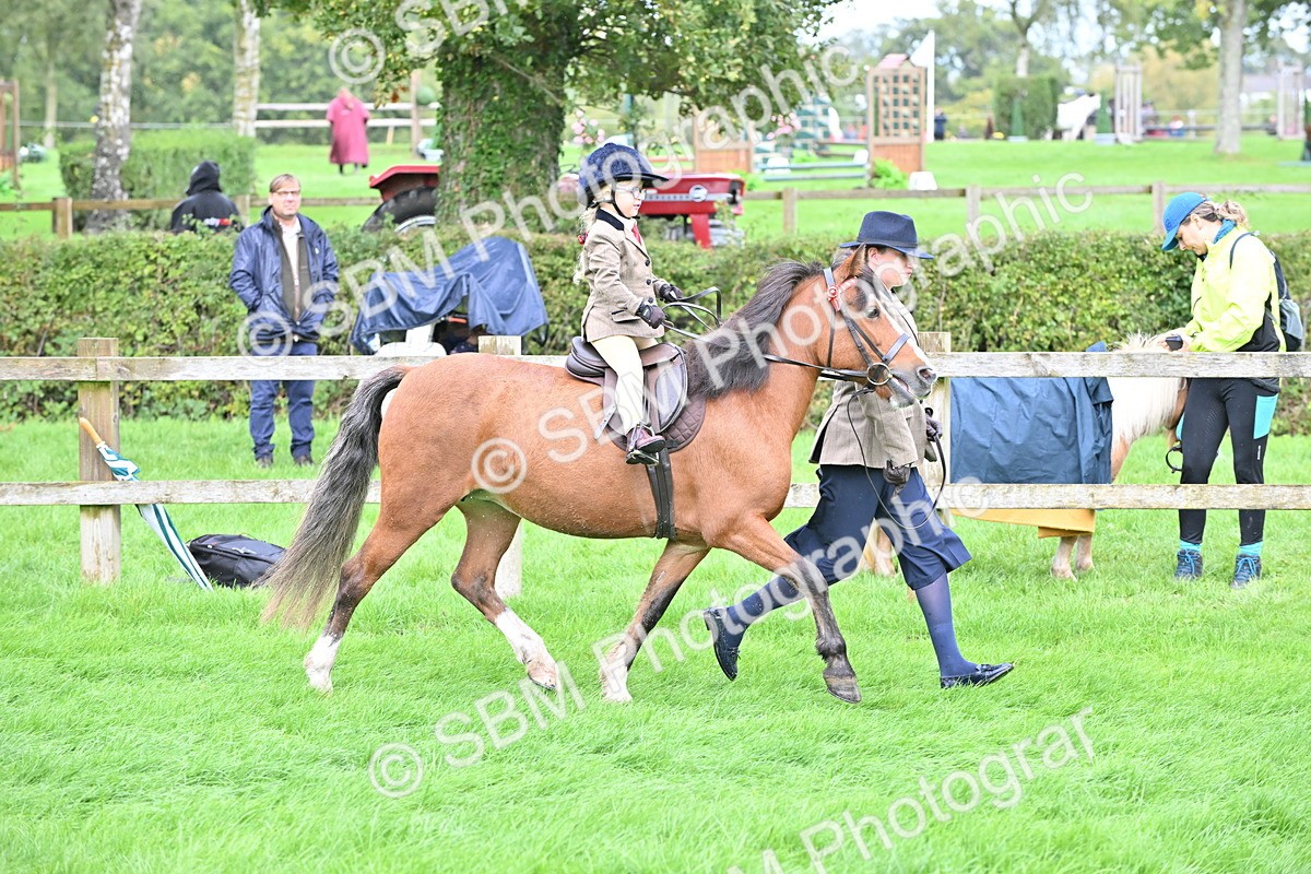 SBM_40124 - S20 - Lead Rein Mountain & Moorland Pony