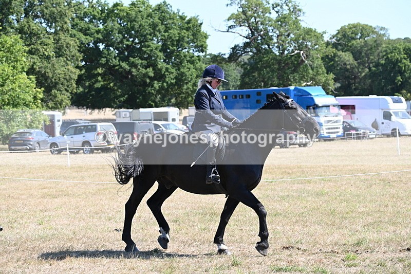WJ6_8276 - Class 37a Best Loan Pony Ridden