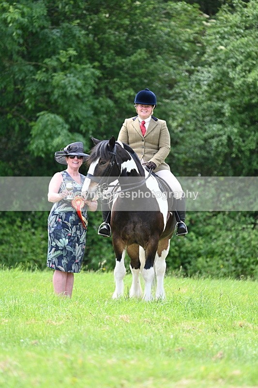 WJ7_2687 - Class 12A Coloured Class