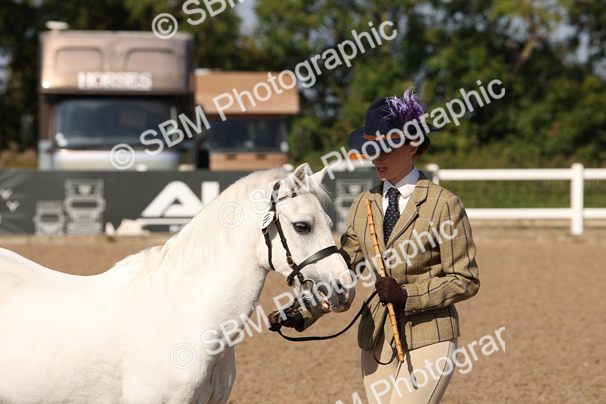 SBM_02779 - Class 16 IH M&M Wildcard