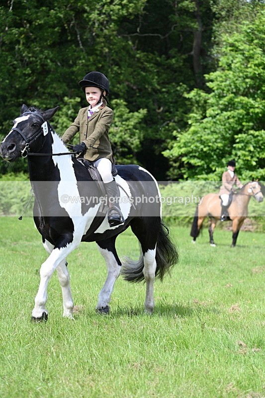 WJ7_1153 - Class 11 Condition & Turnout