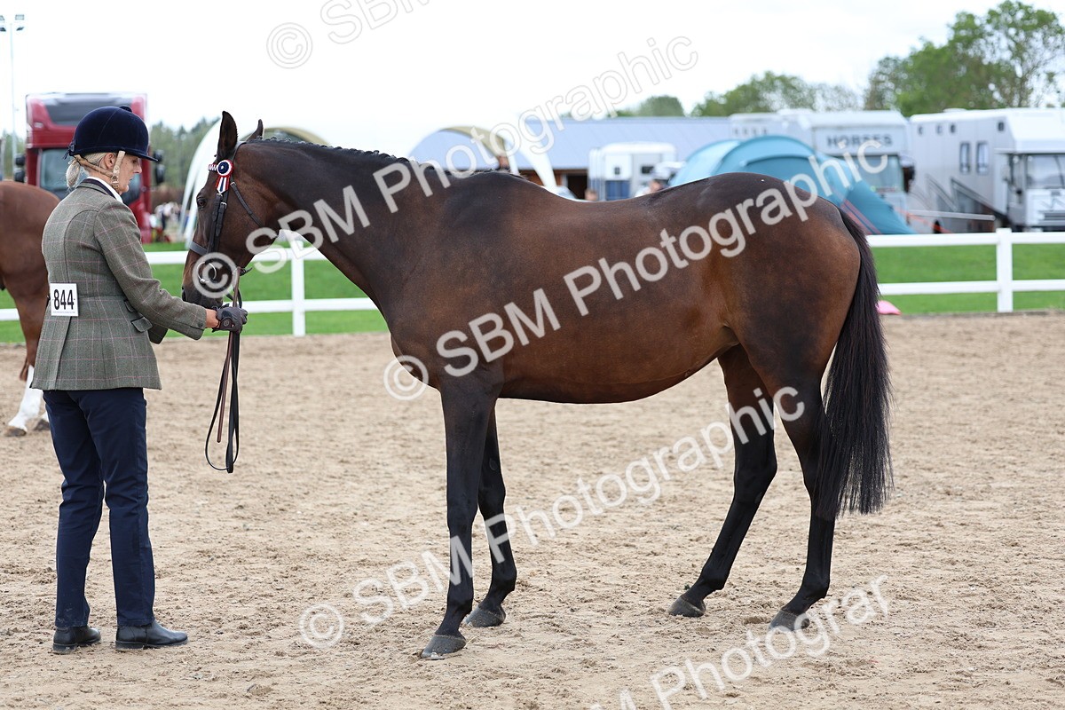 SBM_05056 - Class 27 - IH Competition Horse or Pony