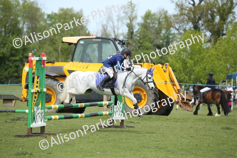 20260426-2014 - Class 15 - Absolute Novice 70cm