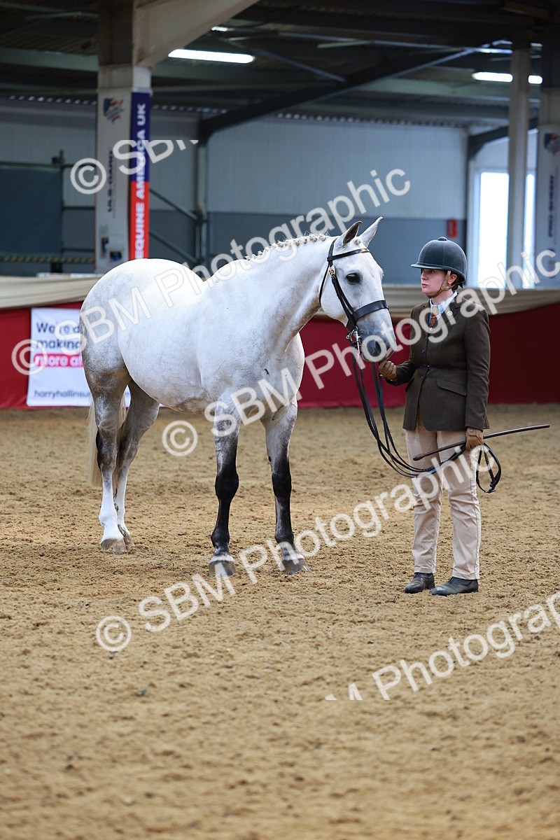 SBM_04309 - Class 9R - IH Pre-Vet