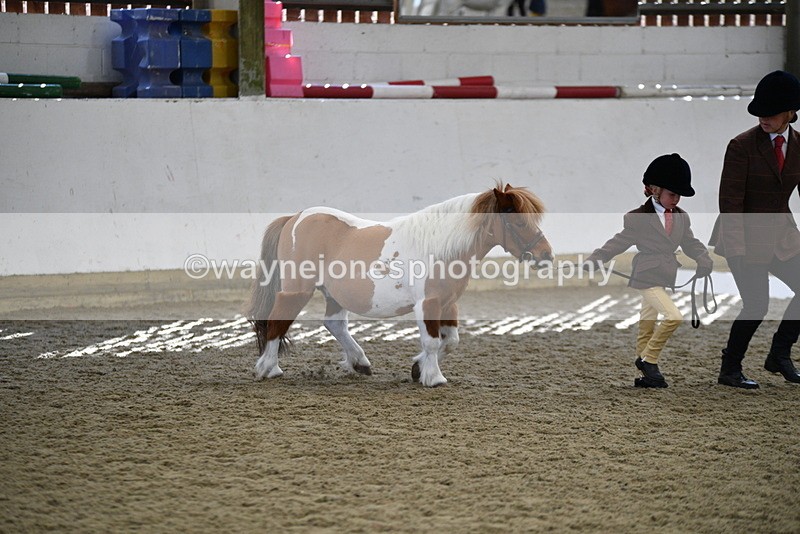 WJ5_4894 - Class 7 In hand coloured / odd coloured