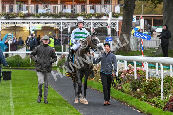 121024-Race 5-Almeric-3339 - Race 5 3.55pm Coral Racing Club EBF Maiden Stakes