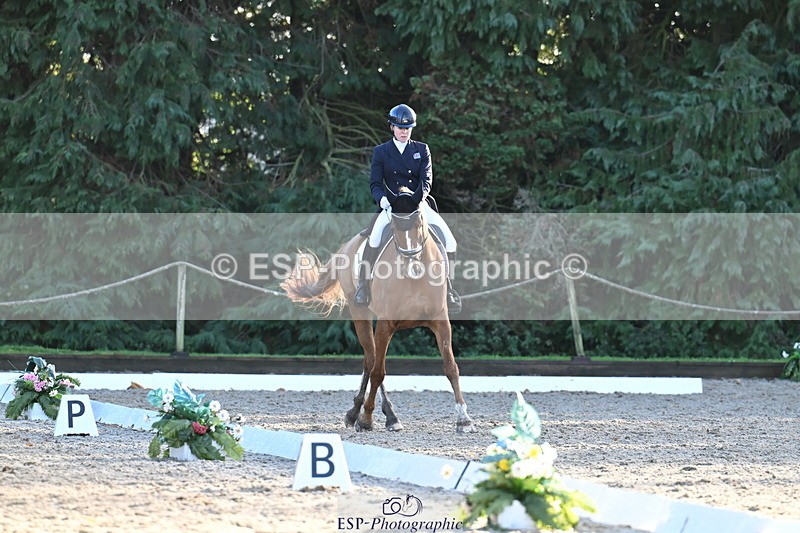 251023A-162323-06055 - B-170-Mollie.Summerland