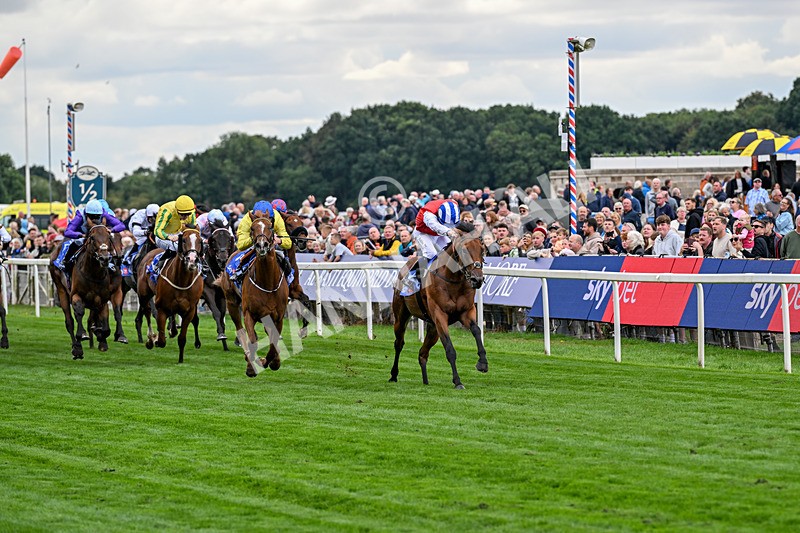 210826-Race 1-Blue Courvoisier-4944 - Race 1 13.50pm Sky Bet Mile Handicap