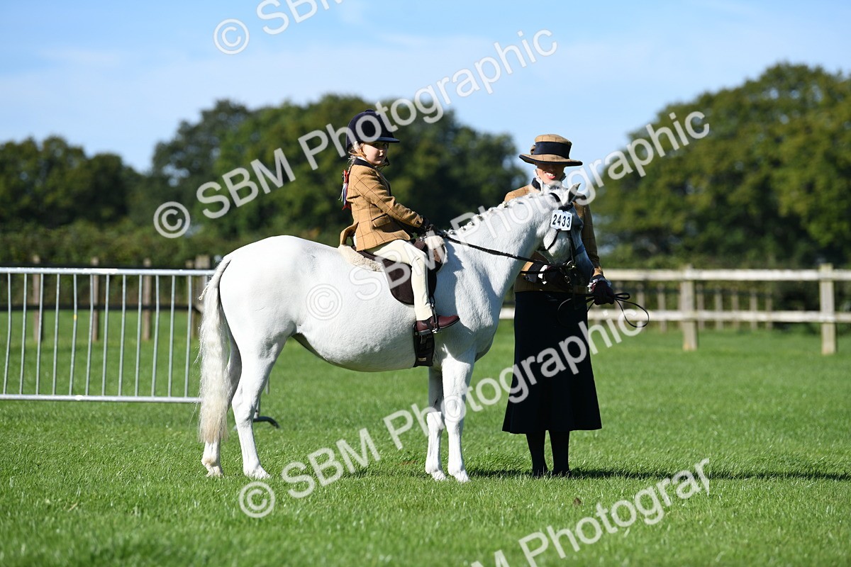 SBM_36800 - S18 - Novice & Newcomers Lead Rein Pony