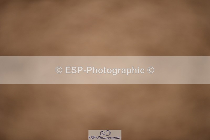 230628A-144216-00728 - Cls 5 Foxhunter & 1.20m Open