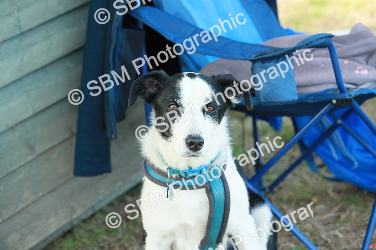 SBM_21852 - E11 - Eventers Challenge 60cm Championship