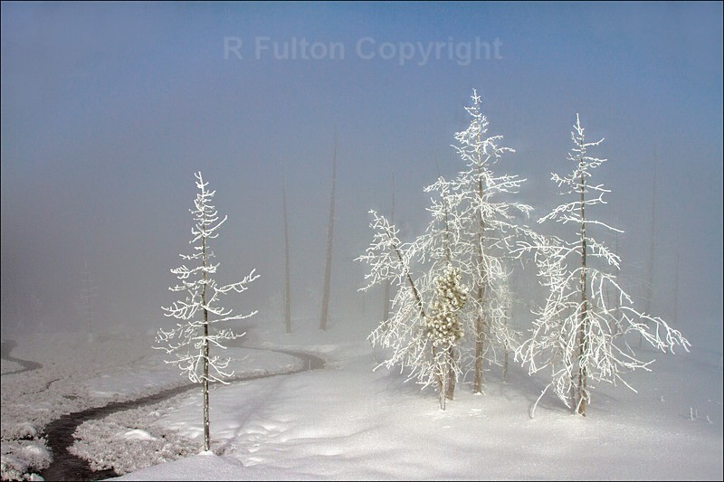 Out of the Mist - Yellowstone