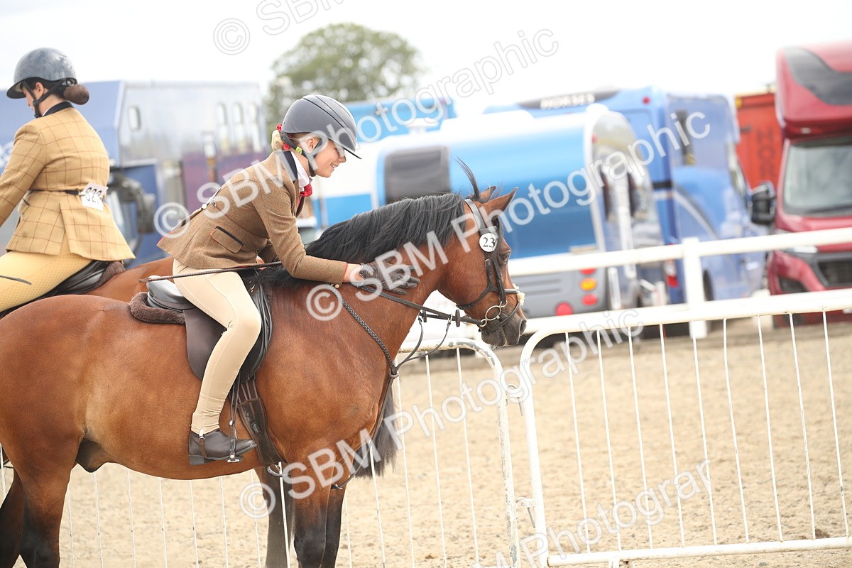 SBM_16796 - Class 507b - Working Veteran 60cm (20+)